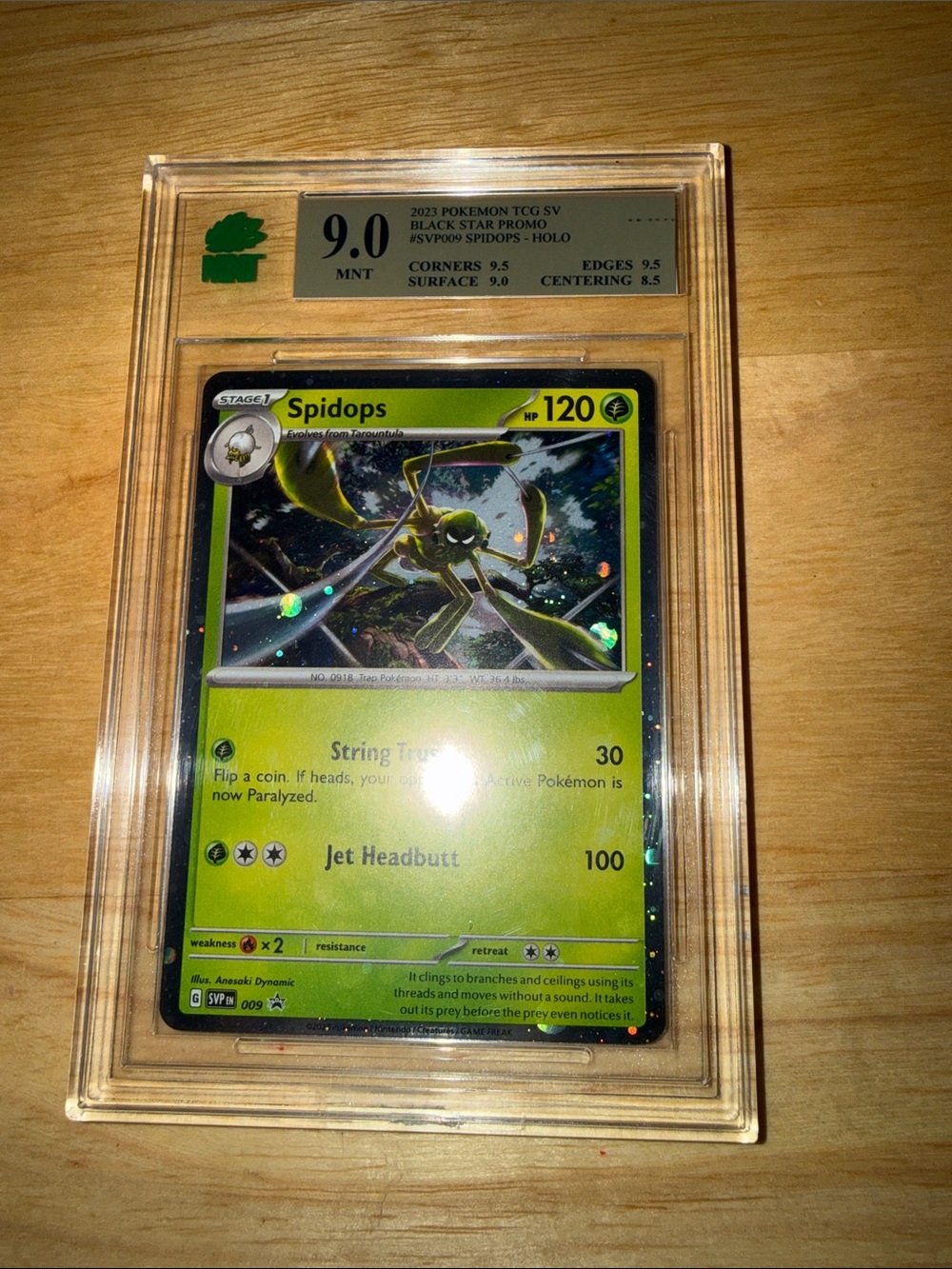 Spidops Pokémon TCG Holo Card - Green